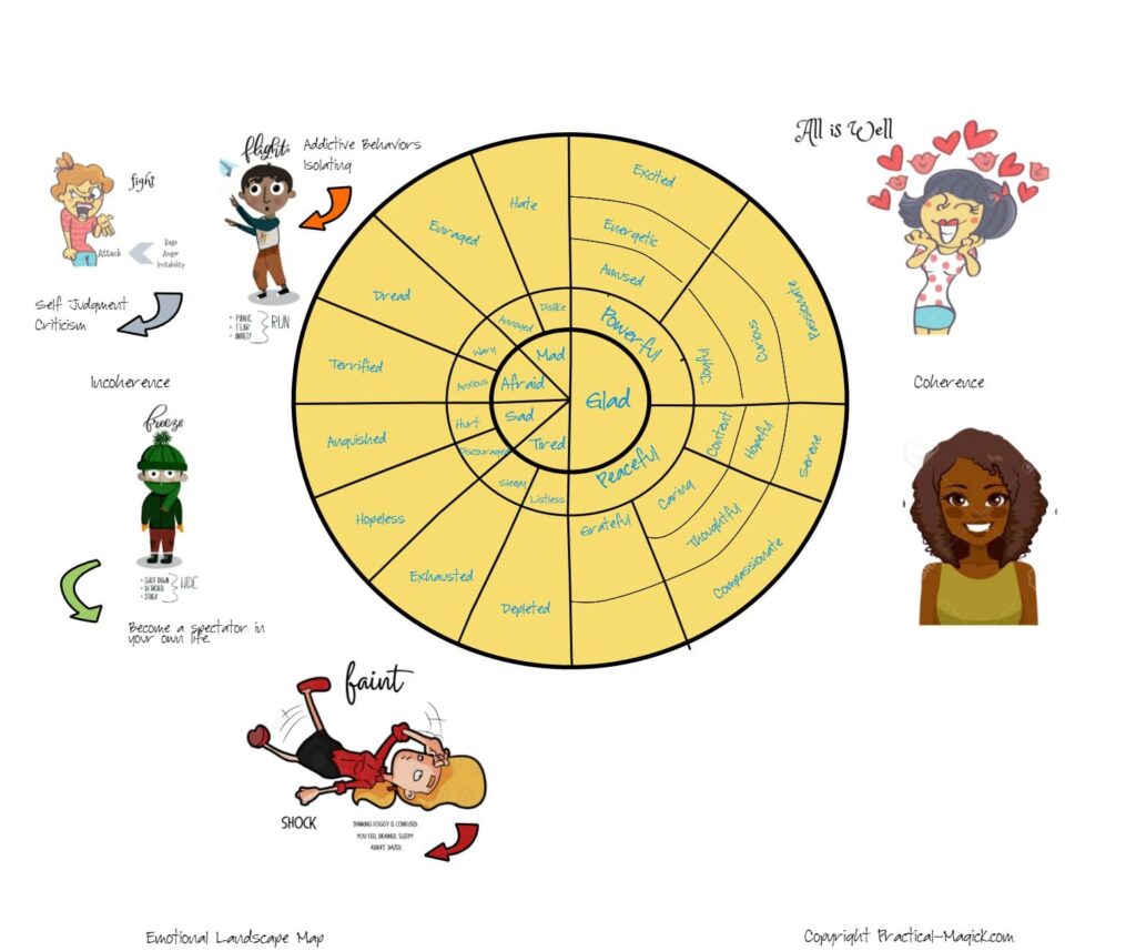 what's your emotional diet - emotion wheel and physiological responses